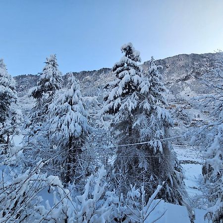 Hotel Apple Flower Manali (Himachal Pradesh) Luaran gambar