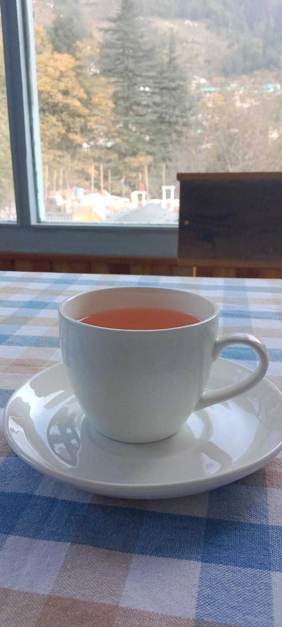 Hotel Apple Flower Manali (Himachal Pradesh) Luaran gambar