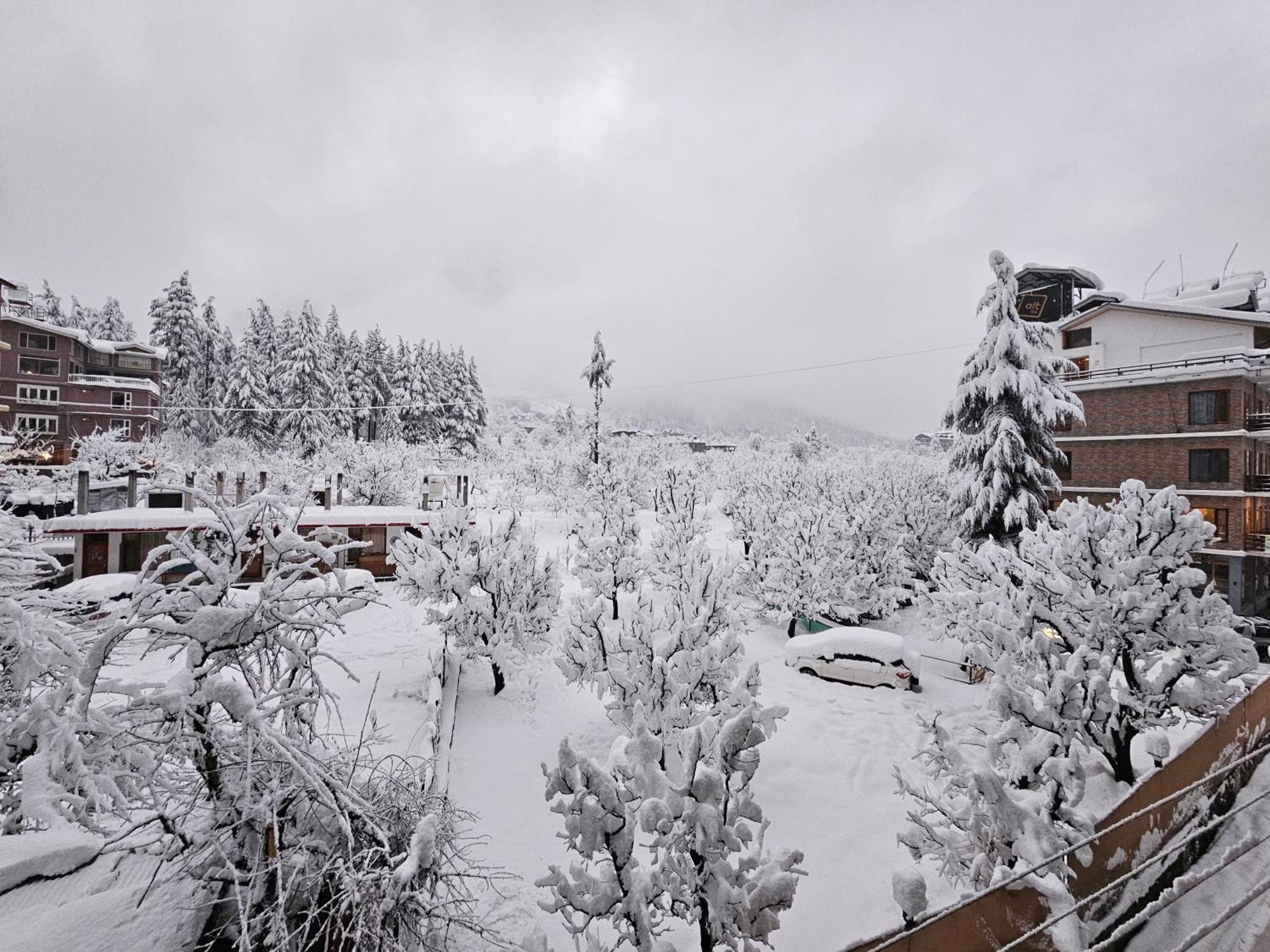 Hotel Apple Flower Manali (Himachal Pradesh) Luaran gambar
